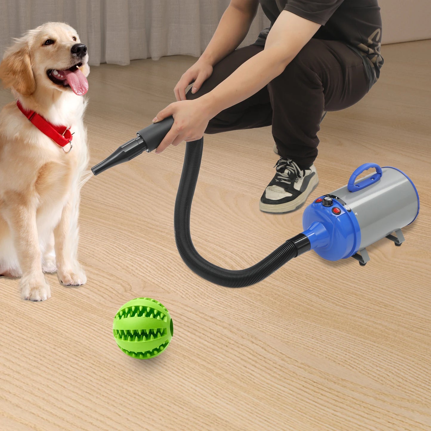 2200W Pet Hair Dryer with Adjustable Wind Speed and 4 Nozzles