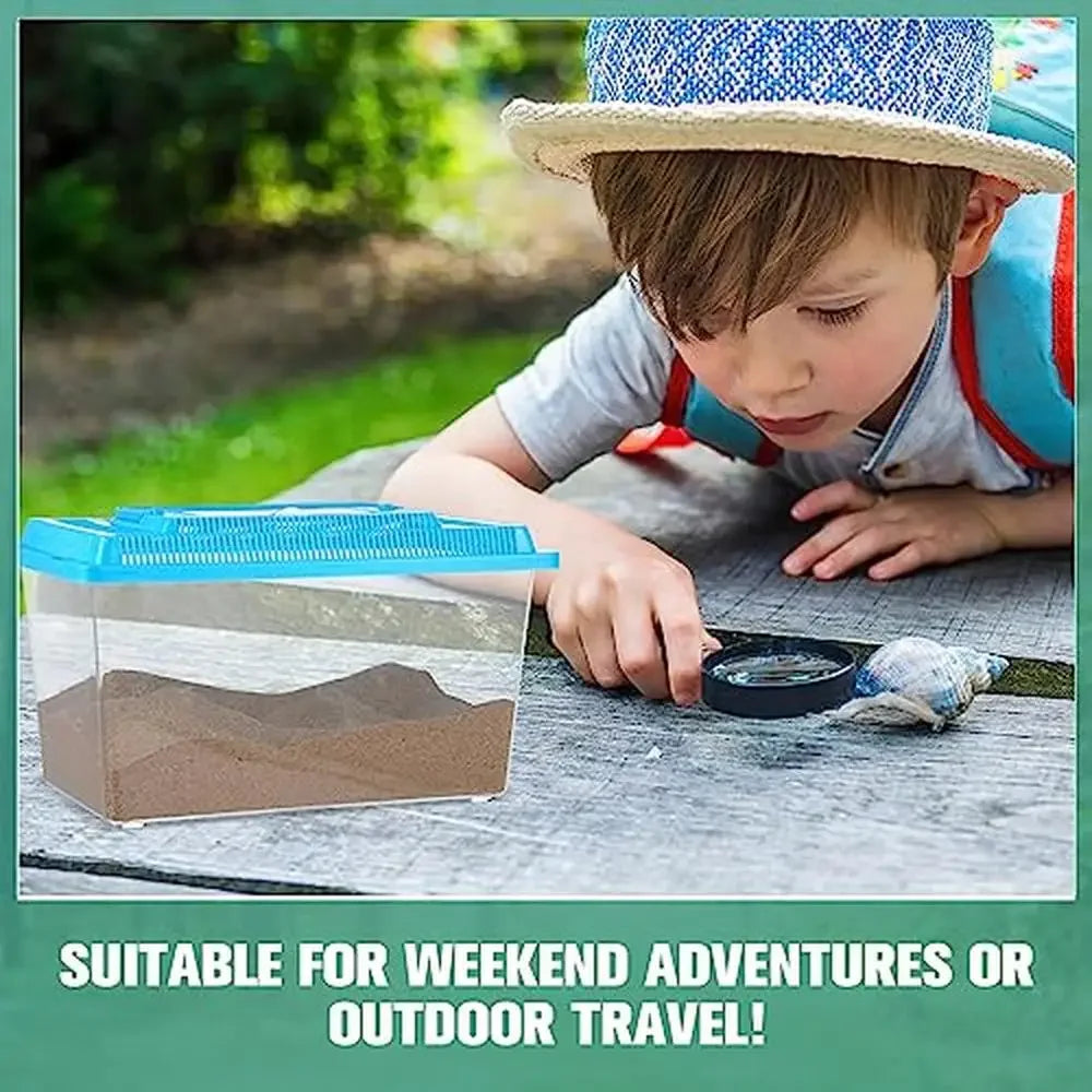 Spider Tarantula Enclosure Reptile Terrarium Pack of 10