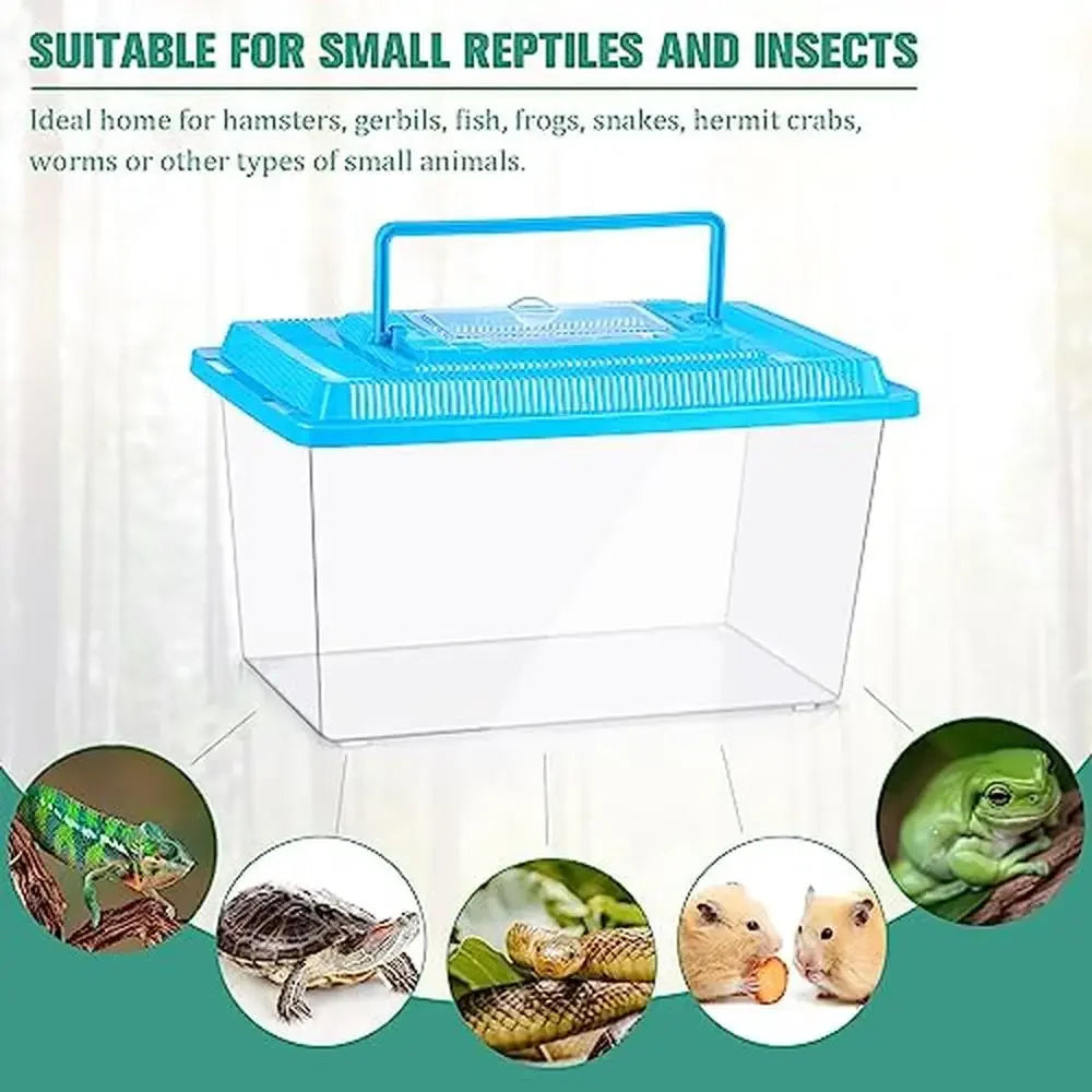 Spider Tarantula Enclosure Reptile Terrarium Pack of 10