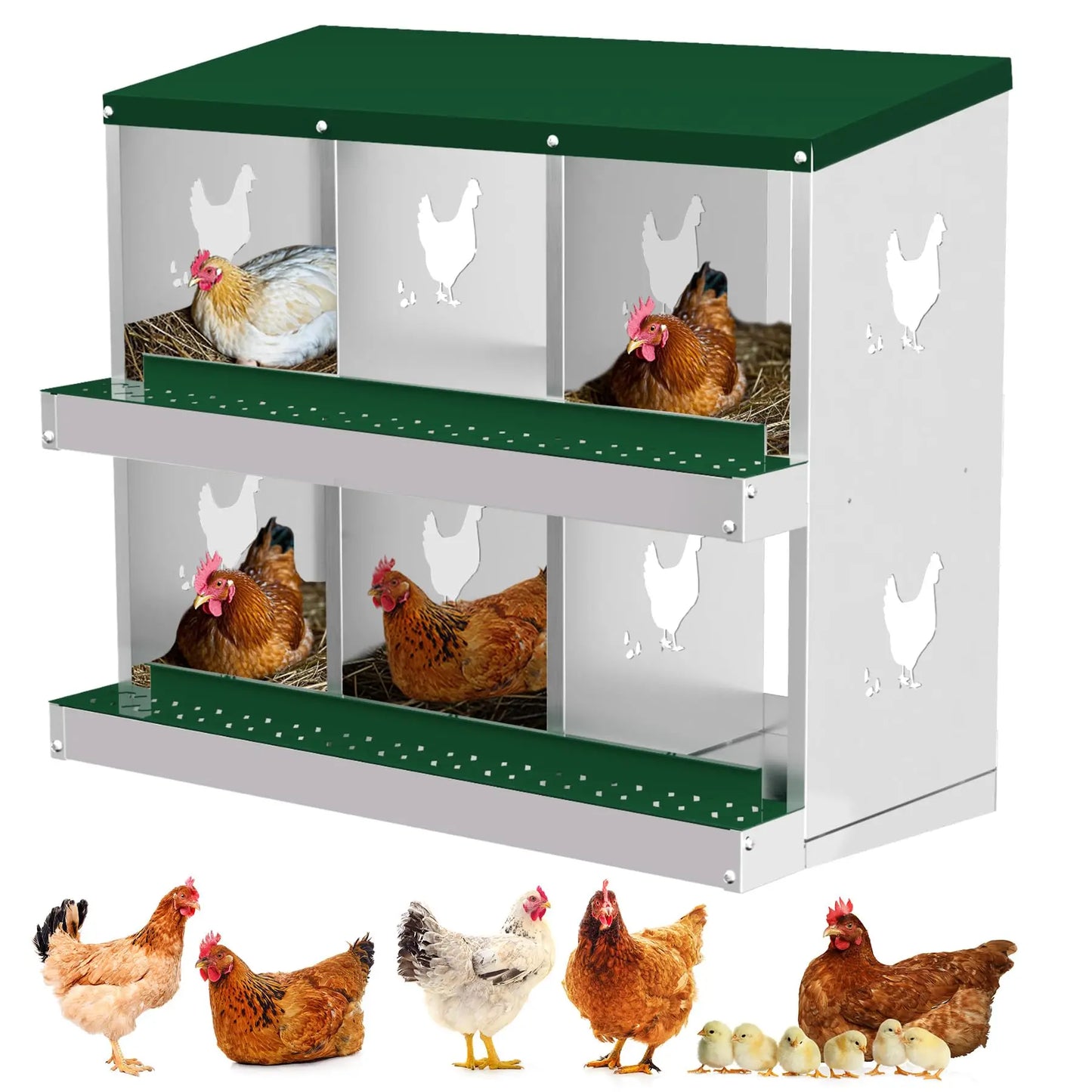 Nesting Boxes for Chickens, 6 Compartment Box with Legs