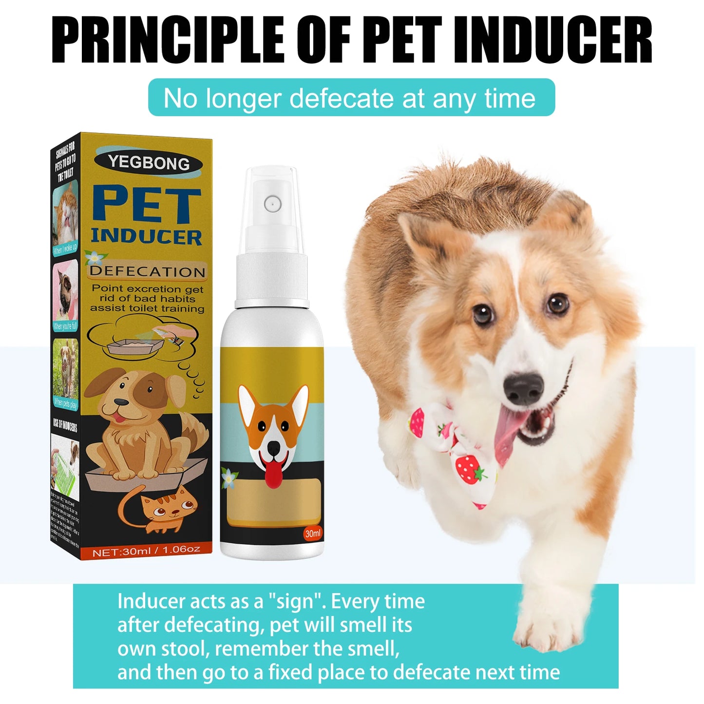 Dog Potty Training Spray Helps Puppies Urine Stool Location