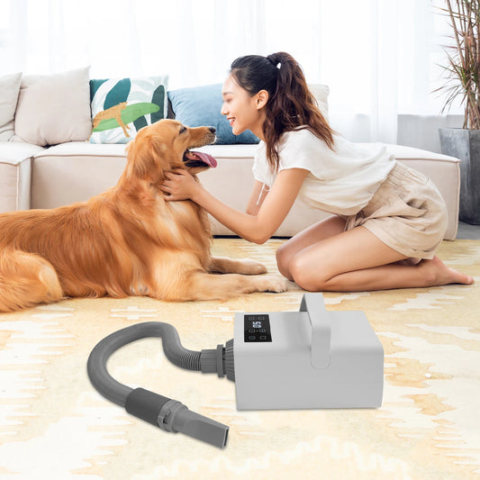 110V Puppy Blowing Grooming Dryer 2200W for Cats Dogs