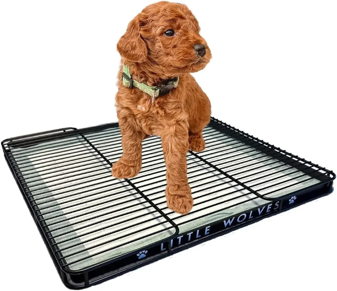 Little Wolves Puppy Potty Tray Essentials 22x22 Reusable Heavy Duty Tray with Dog Pee Pads Housebreaking Supplies