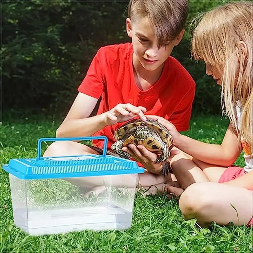 Spider Tarantula Enclosure Reptile Terrarium Pack of 10