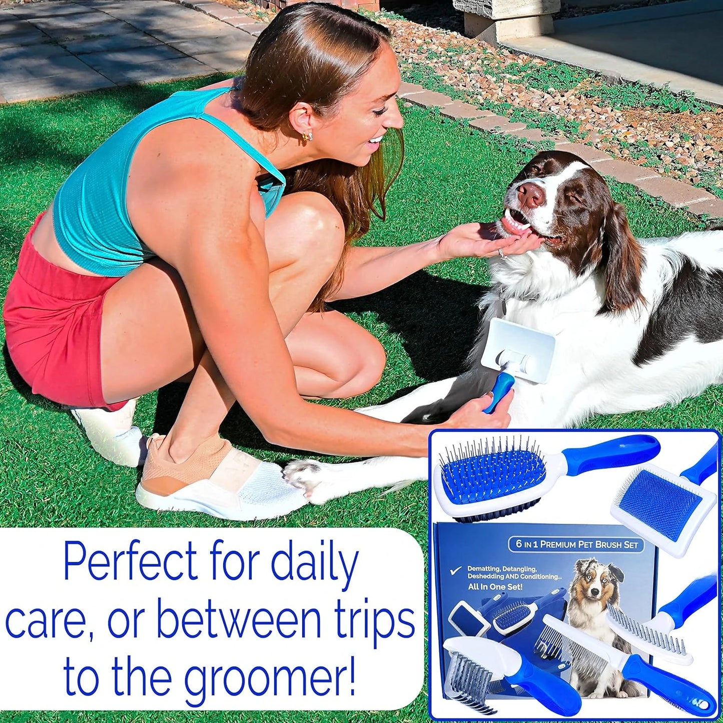 Premium Dog Brush Set for Grooming - Ball Pin and Slicker