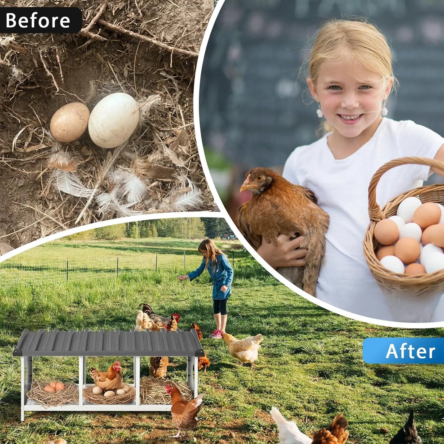 3 Compartments Nesting Box for Hens Metal Egg Laying Box