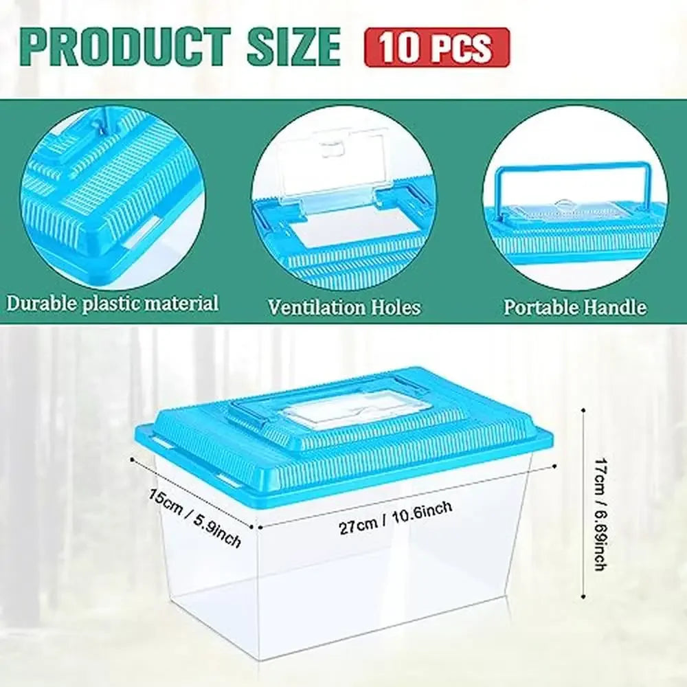 Spider Tarantula Enclosure Reptile Terrarium Pack of 10