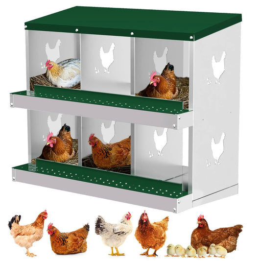 Nesting Boxes for Chickens, 6 Compartment Box with Legs