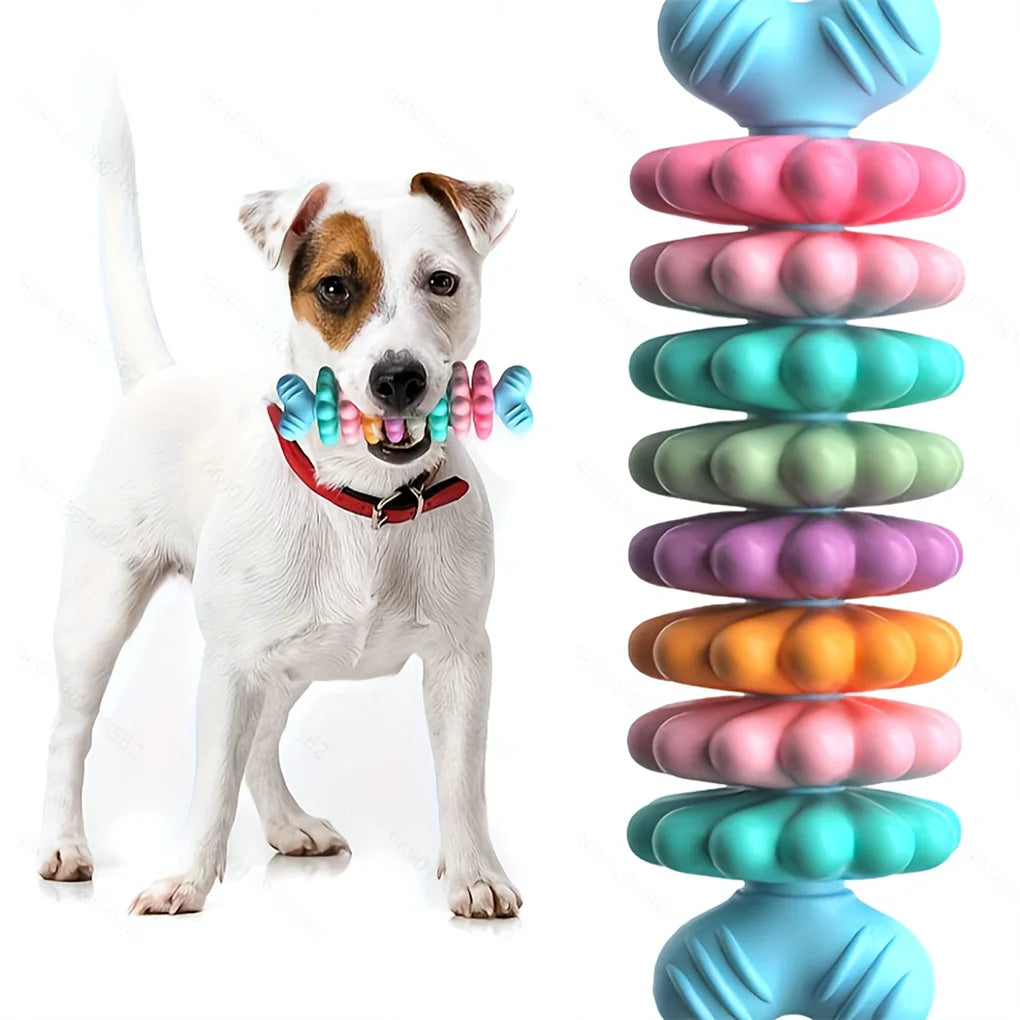 2PCS/SET Pet Toy Dog Chew Bone with Multi-color Design