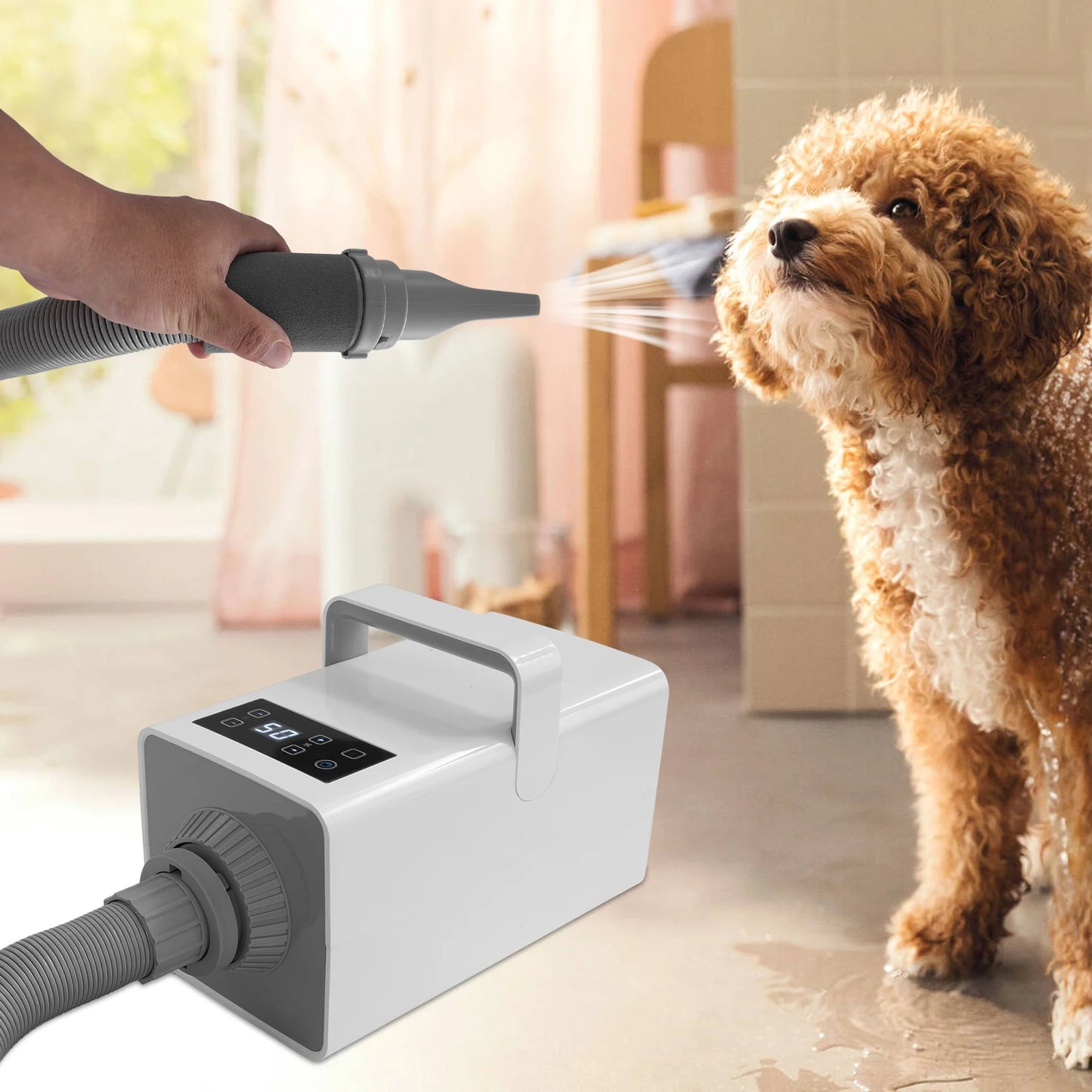110V Puppy Blowing Grooming Dryer 2200W for Cats Dogs