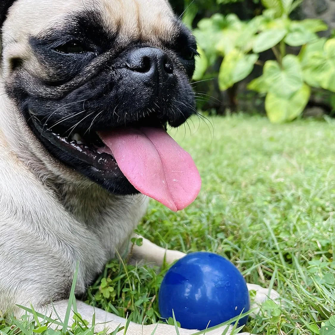SuperChewy Tough Dog Ball Toy for Aggressive Chewers