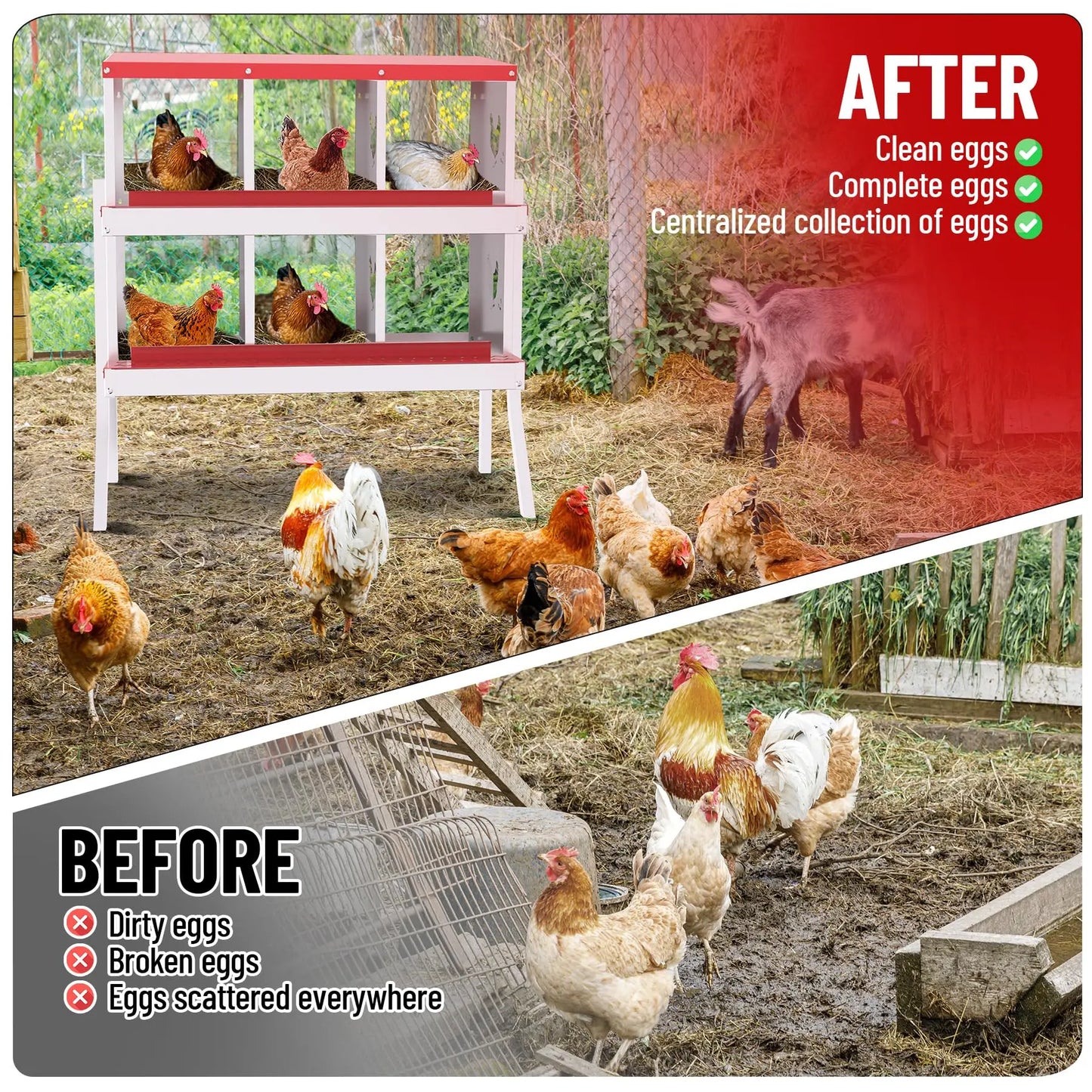 Nesting Boxes for Chickens, 6 Compartment Box with Legs