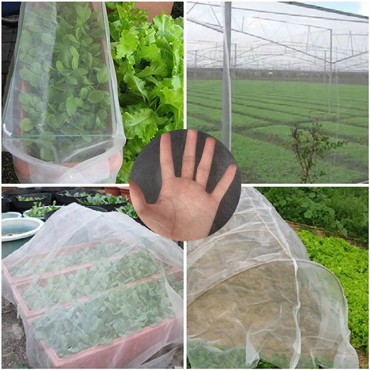 Garden Vegetable Insect Net Protective Fruit Trees Cover