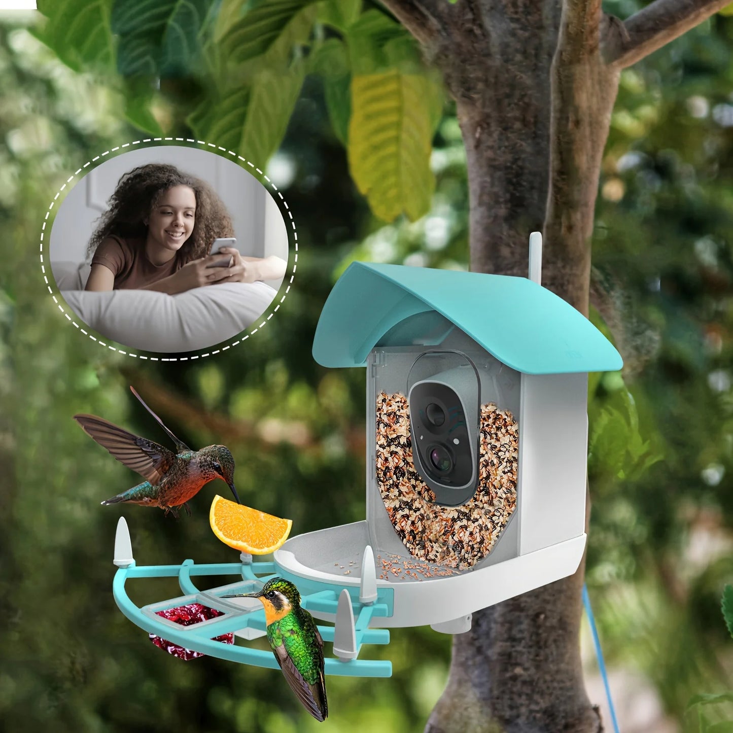 Smart Bird Feeder With Camera, AI Bird Species Identification