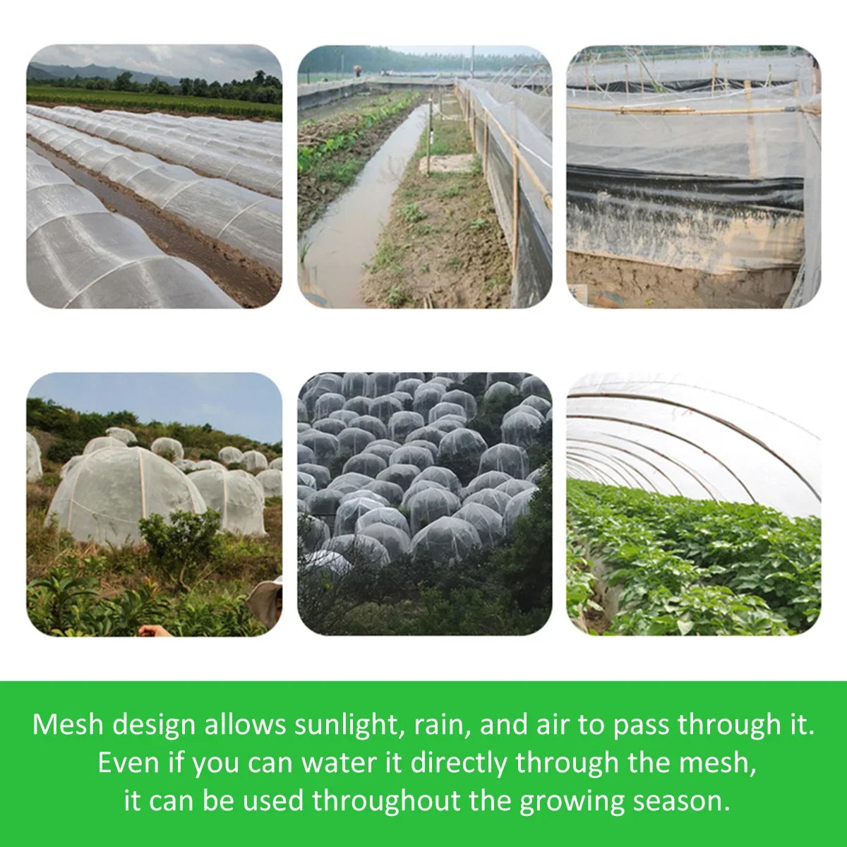 Garden Vegetable Insect Net Protective Fruit Trees Cover
