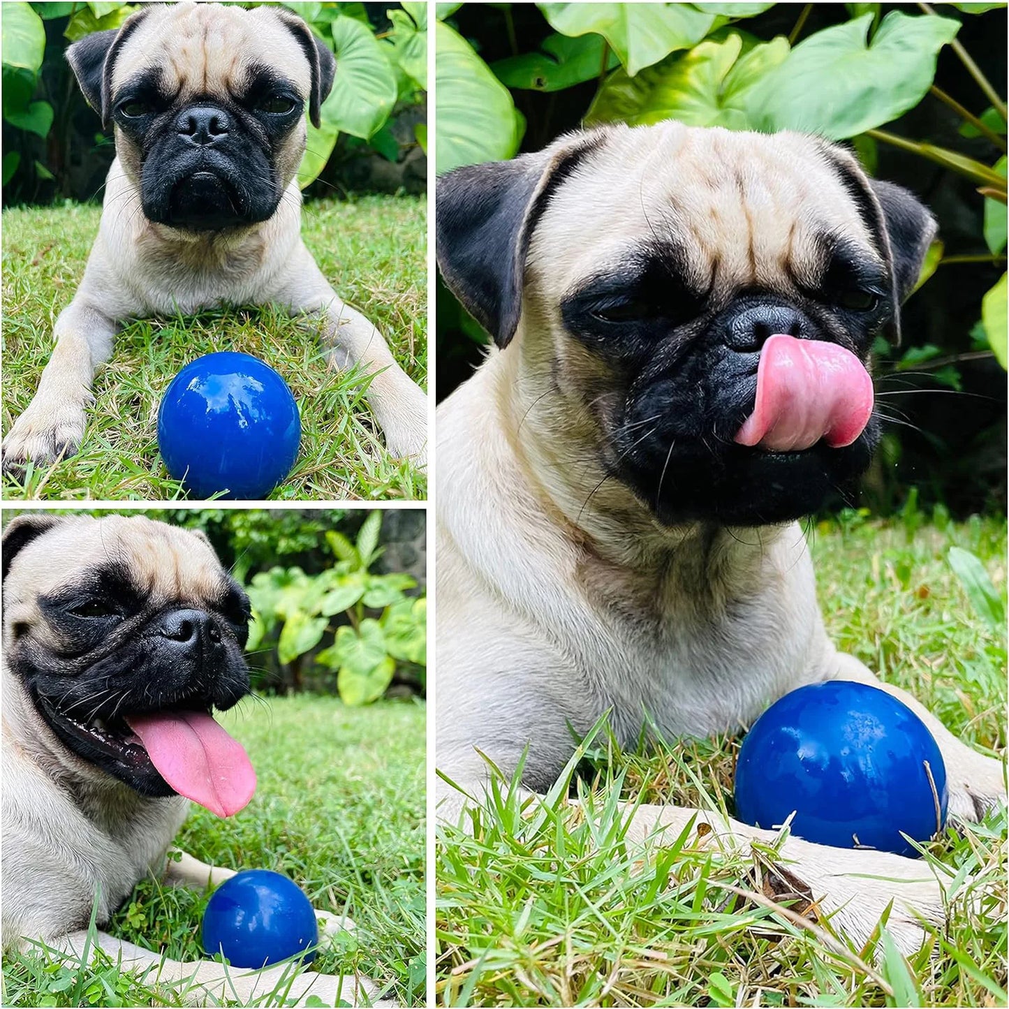 SuperChewy Tough Dog Ball Toy for Aggressive Chewers