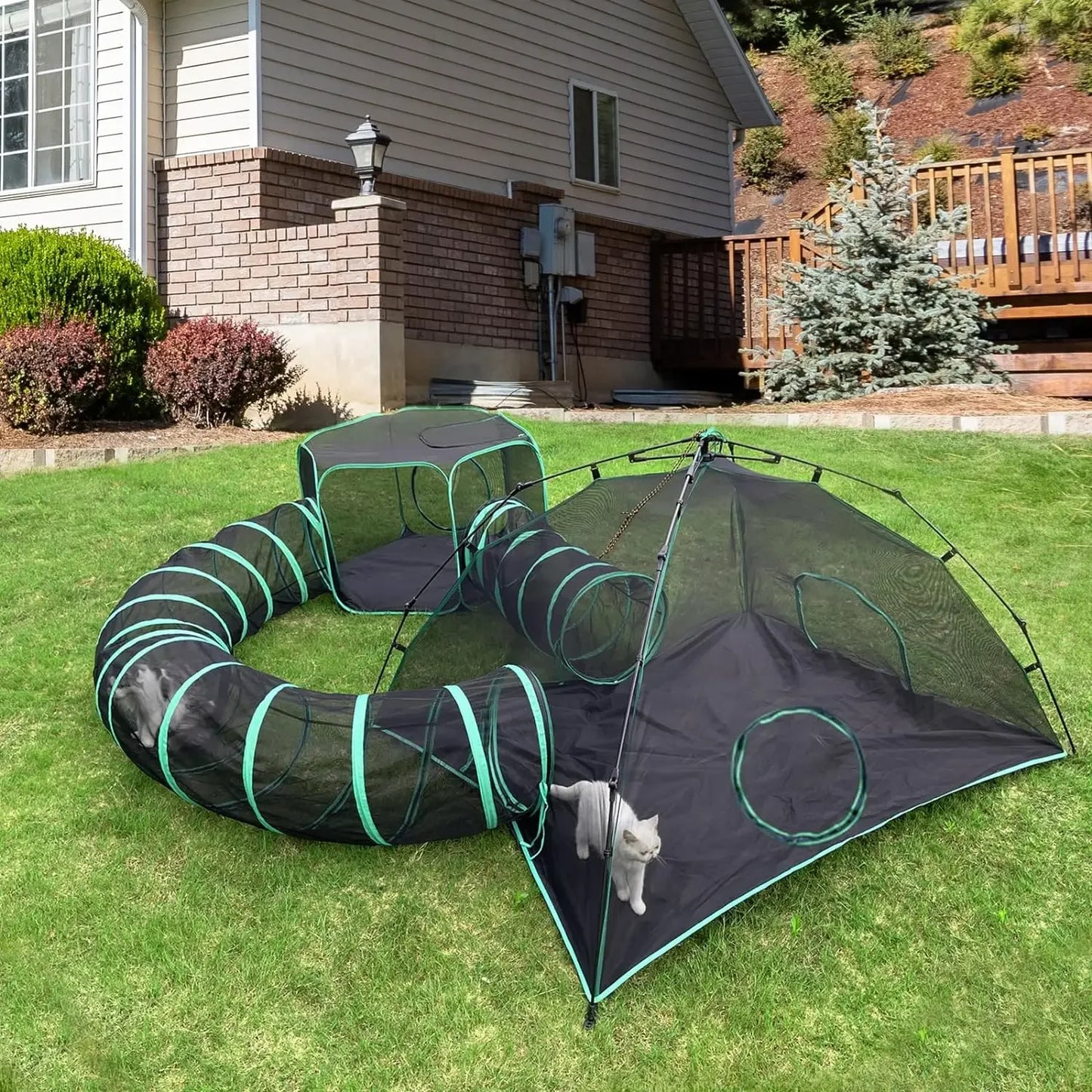 6-in-1 Outdoor Cat Play Tents and Tunnels Portable Enclosures