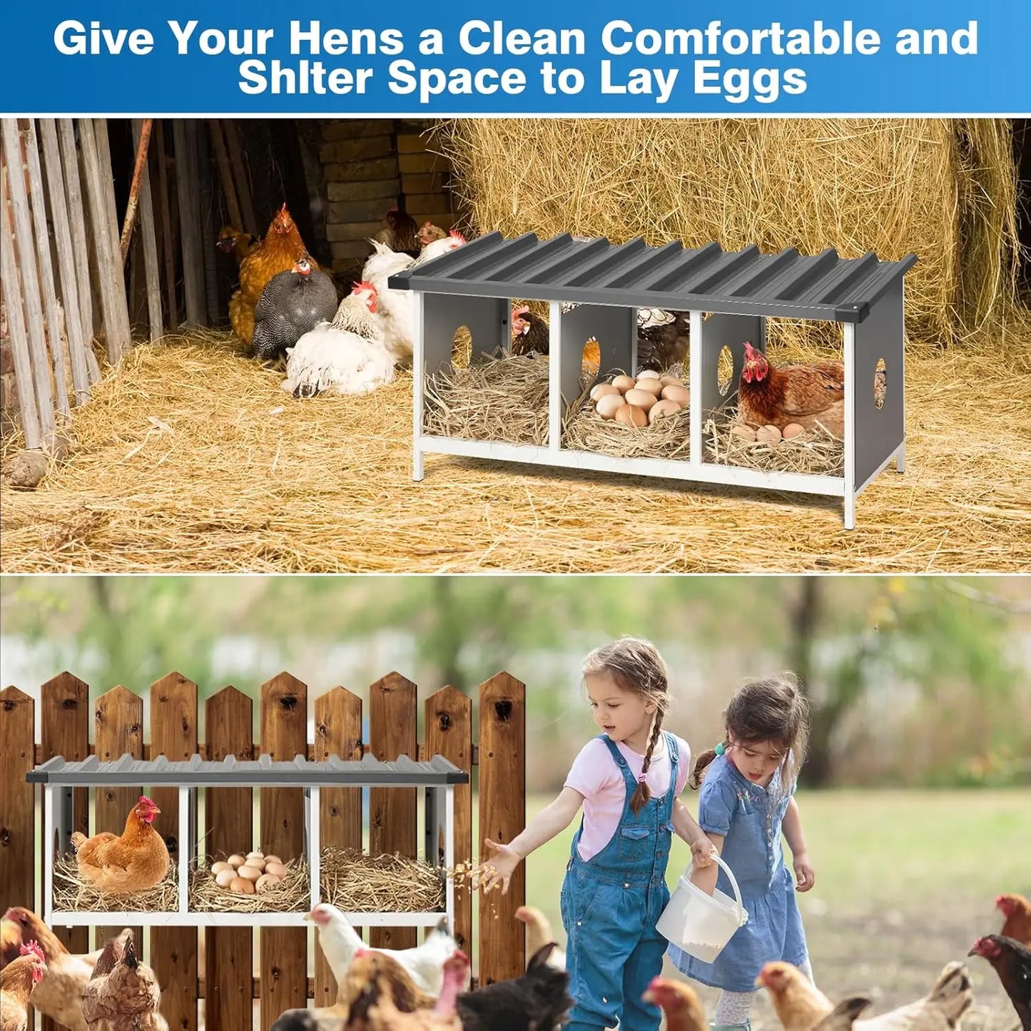 3 Compartments Nesting Box for Hens Metal Egg Laying Box