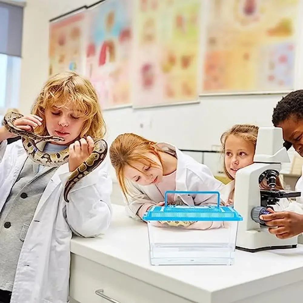 Spider Tarantula Enclosure Reptile Terrarium Pack of 10