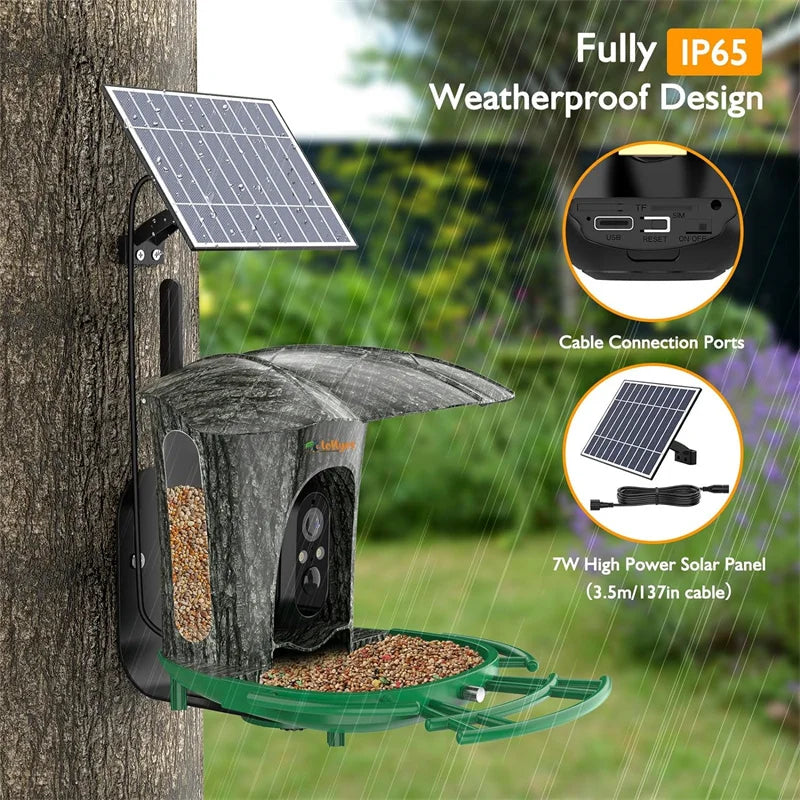 Smart Bird Feeder Camera with 64G Card for Wild Birds